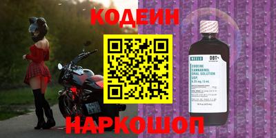 индика Дубна