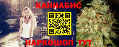 индика Дубна