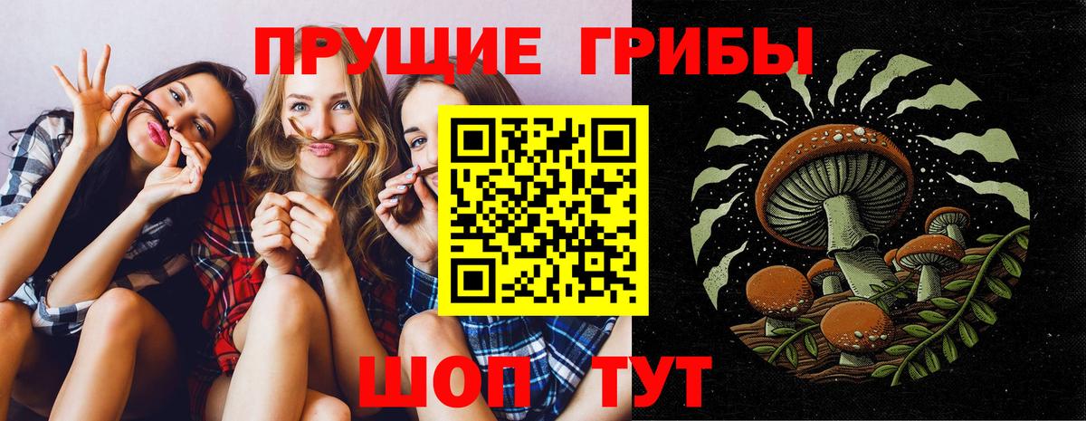 Галлюциногенные грибы GOLDEN TEACHER Лосино-Петровский