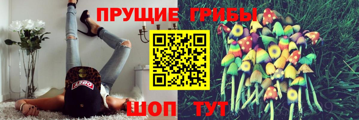 Псилоцибиновые грибы MAGIC MUSHROOMS  купить наркотик  Лосино-Петровский  Вход с VPN 